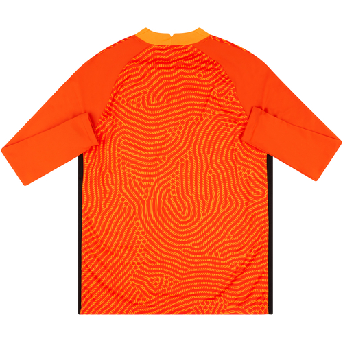 Nike template 2020 2025