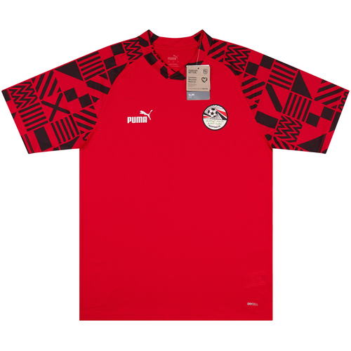 Egypt puma cheap jersey 2019