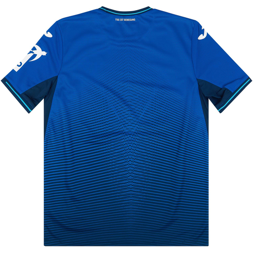 Hoffenheim top kit 2020