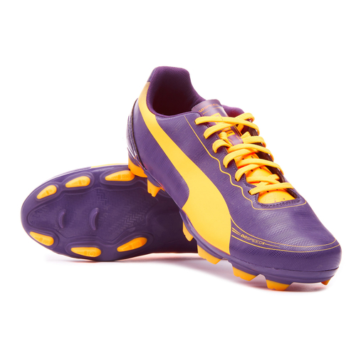 Puma evospeed 1.2 fg mens football boots on sale