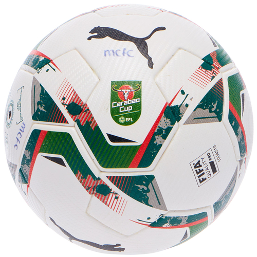 Official match hotsell soccer ball