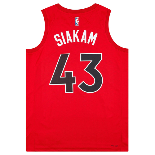 toronto raptors jersey large