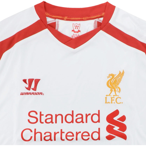 liverpool 13 14 kit