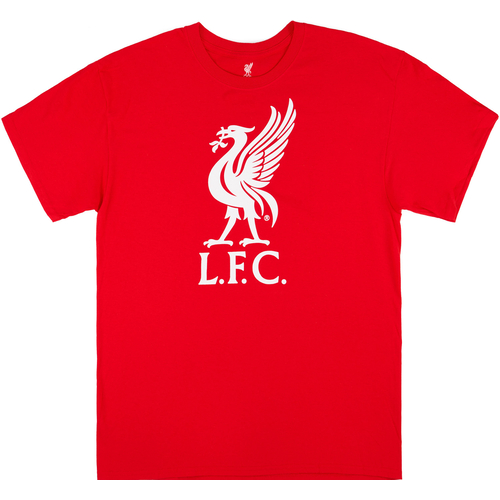 Liverpool shirt cheap logo