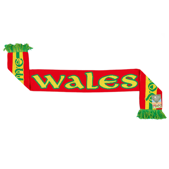 Wales Don't Take Me Home Scarf