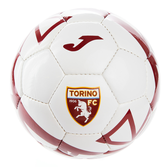 2022-23 Torino Joma Supporters Ball (Size 4)