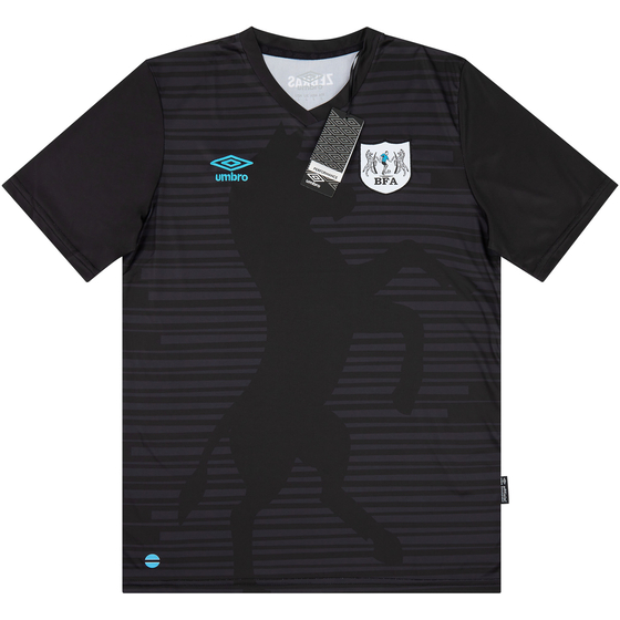 2021-22 Botswana Third Shirt