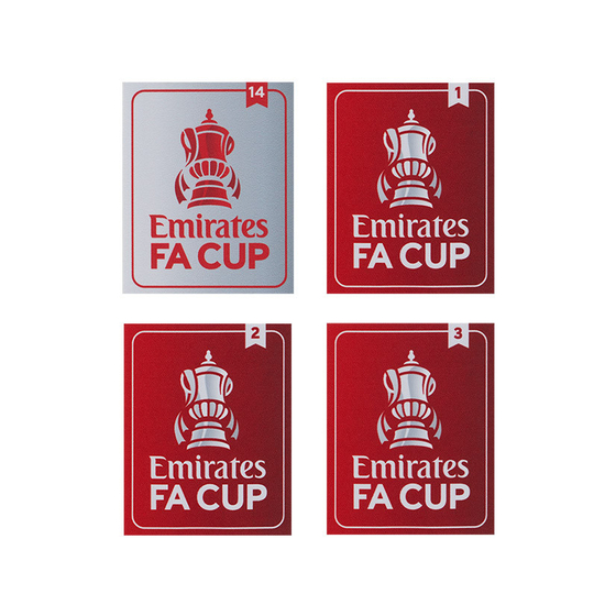 2020-2021 Emirates FA Cup Patch