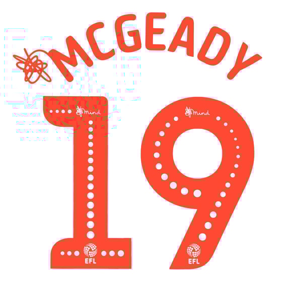 2018-20 Sunderland McGeady #19 EFL Name Set